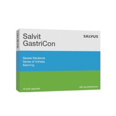 SALVIT GastriCon 240mg kapsule a 15 SALVIT GastriCon 240mg kapsule a 15